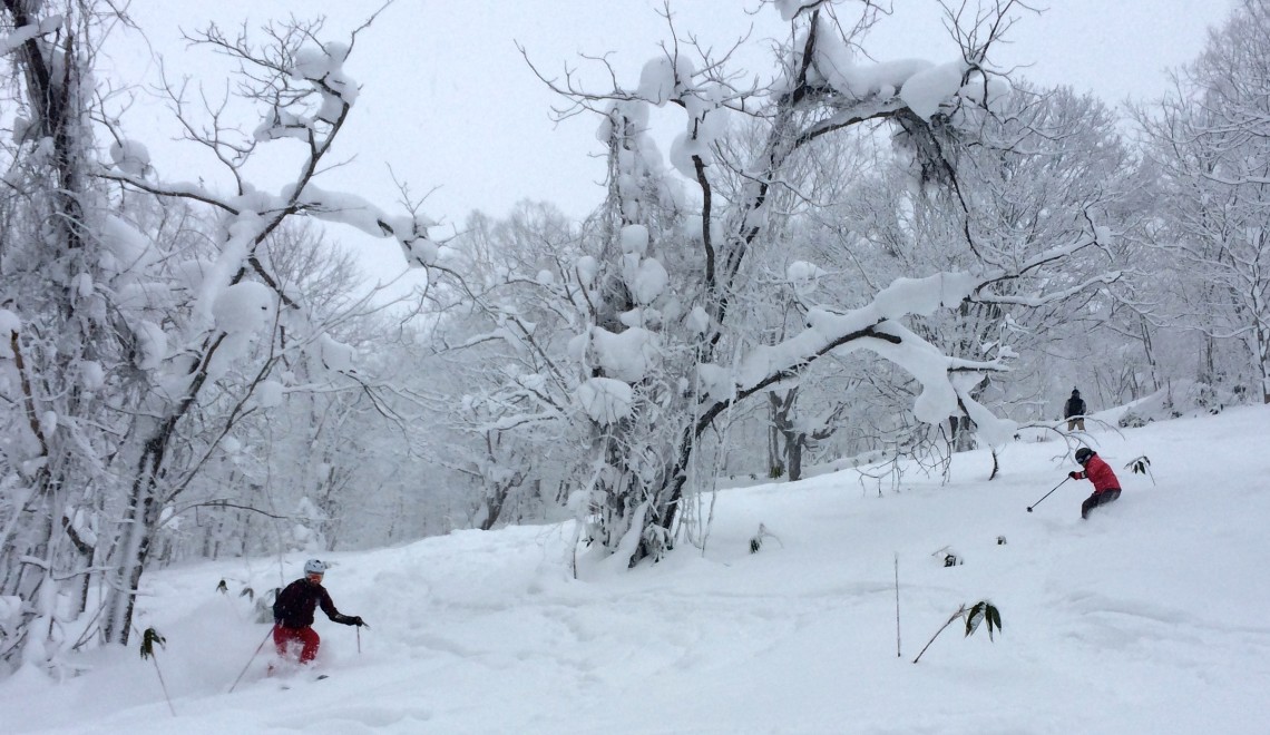 Learning to ski Japow